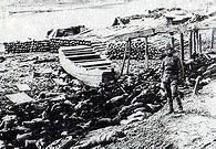 Image result for World War 2 Nanking Massacre