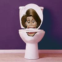 Image result for Decals of Nancy Pelosi