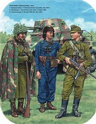 Image result for Royal Hungarian Army WW2