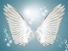 Image result for Wings