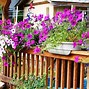 Image result for Deck Planters Ideas