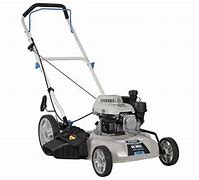 Image result for Push Mowers Lowe's