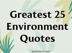 Image result for Reggio Emilia Environment Quotes