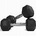 Image result for Rubber Hex Dumbbell - 10LB Pair