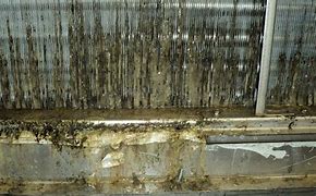 Image result for Cleaning AC Coils Inside House