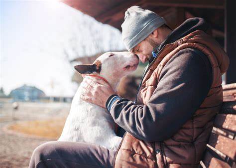Heartwarming Stories About Dogs Saving Humans' Lives | Stacker