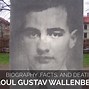 Image result for The Story of Raoul Wallenberg