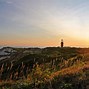Image result for Jungle Beaches Martha's Vineyard