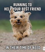 Image result for Funny New Friend Quotes