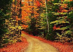 Image result for Free Downloads of Autumn Scenes