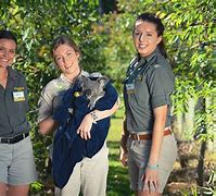 Image result for Australia Zoo Staff