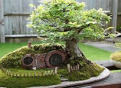 Image result for Bonsai Fairy Garden
