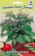 Image result for Herbes De Provence Ingredients