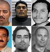 Image result for Who Is Agent Gaines in FBI Most Wanted