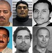 Image result for FBI Most Wanted Cast Changes