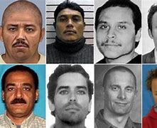 Image result for Maryland's Most Wanted