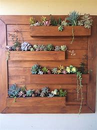 Image result for DIY Wood Succulent Wall Planter