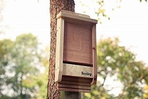 Image result for Kenley Bat House - Outdoor Bat Box Shelter With Single Chamber - Handcrafted From Cedar Wood - Easy For Bats To Land And Roost - Weather Resistant &
