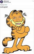 Image result for Chris Pratt as Garfield