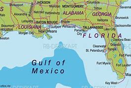 Image result for Gulf Coast Forec Majeur