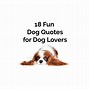 Image result for Funny Quotes From Dogs