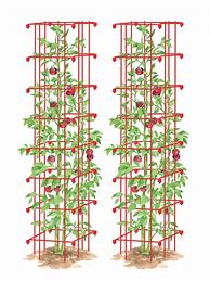 Image result for Tomato Cages In Green - Vegetable Gardening - Vegetable Supports - Gardener's Supply