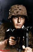 Image result for Head of the SS during WW2