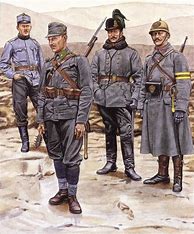 Image result for Hungarian Official History of World War 1