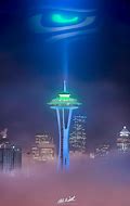 Image result for Seattle Seahawks Wall Art