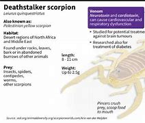 Image result for Deathstalker Scorpion Venom