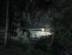 Image result for secret pond