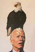 Image result for Joe Biden the parrot