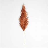 Image result for Rust Pampas Grass Wreath | Crate & Barrel