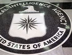 Image result for CIA Spy Badge