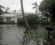 Image result for Hurricane Irma Florida