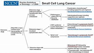 Image result for Limited Stage Small Cell Lung Cancer