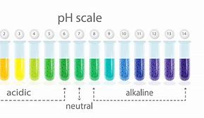 Image result for Acidic Water