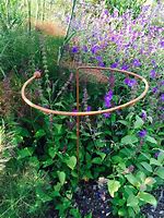 Image result for Wrought Iron Plant Supports