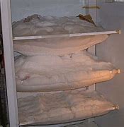Image result for What Causes Frost Inside Freezer
