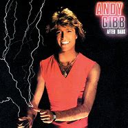 Image result for After Dark Andy Gibb