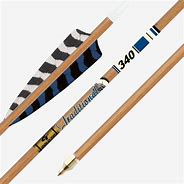 Image result for Gold Tip Traditional Carbon Arrows - Wood By Sportsman's Warehouse