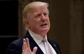 Image result for Donald Trump Pull My Finger