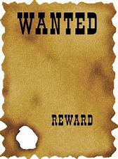 Image result for Wanted Project