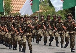 Image result for Algeria Military