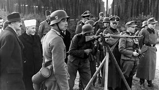 Image result for Muslim Waffen SS
