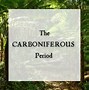 Image result for Carboniferous Era