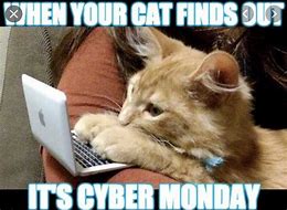 Image result for Cyber Monday Jokes