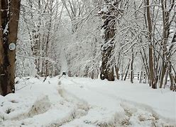 Image result for Where is NY snow
