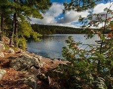 Image result for Clearwater Lake Boundary Waters