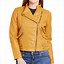 Image result for yellow jacket women's clothing